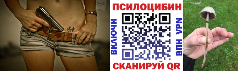 Псилоцибиновые грибы GOLDEN TEACHER  omg ONION  Благодарный  продажа наркотиков 